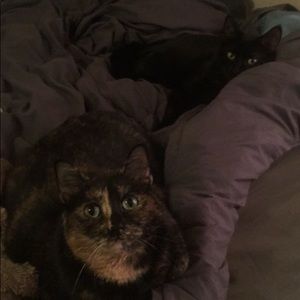 Meet your Posher, Jess